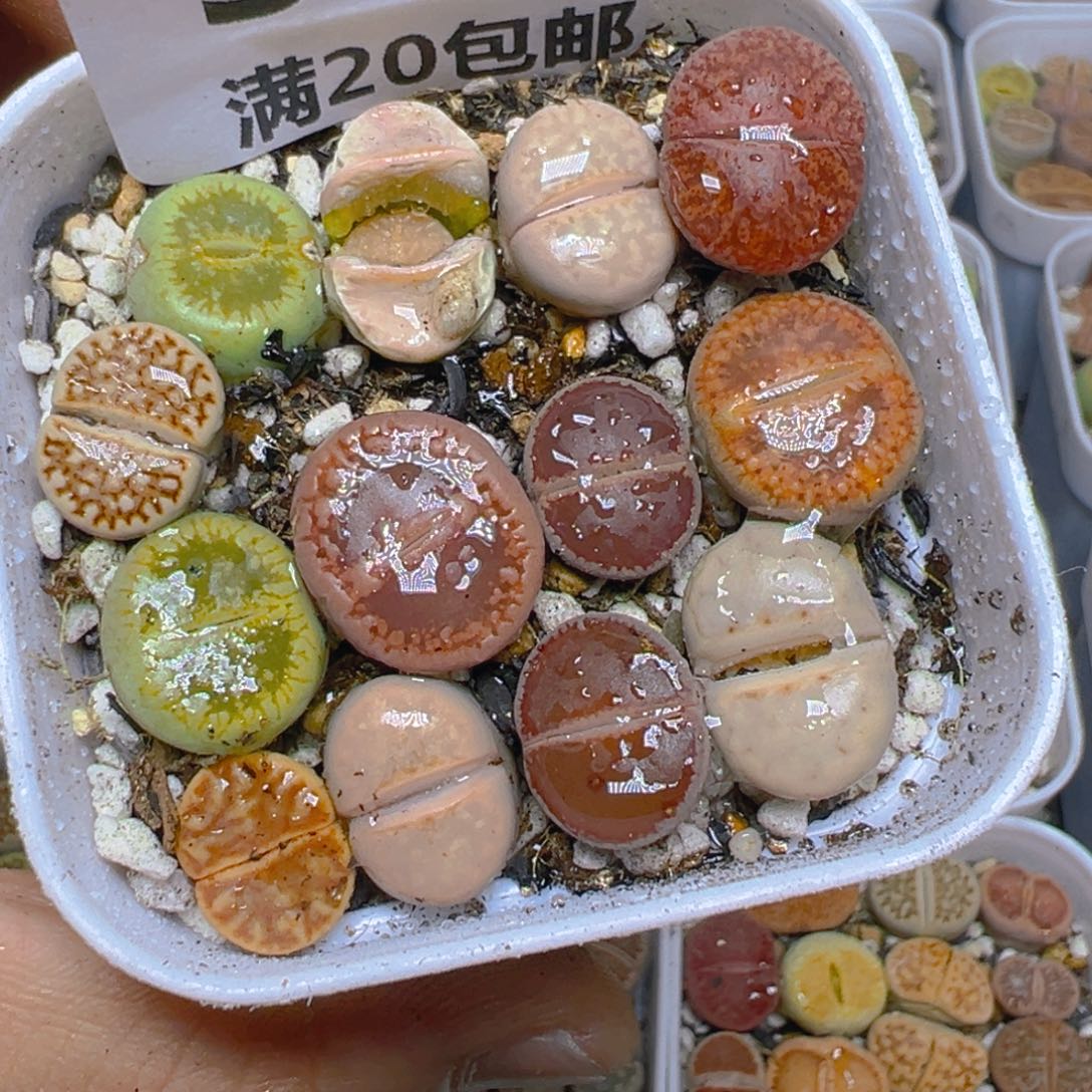 【闪购商品】 564。