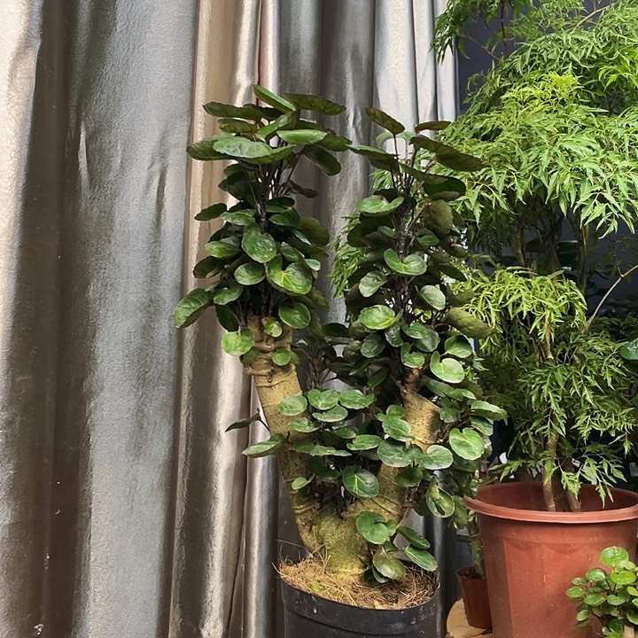 完全开放111111111111111