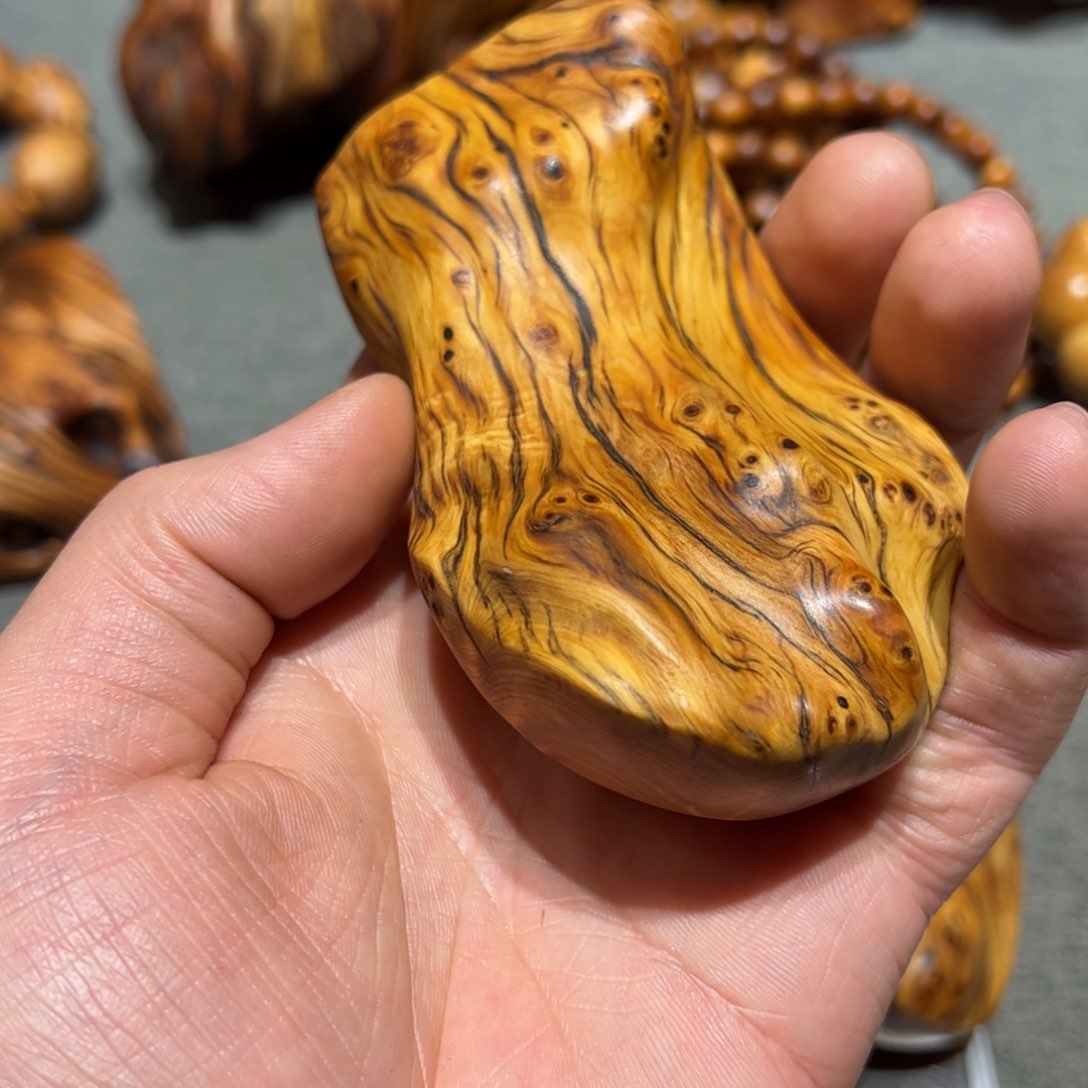 一**光太行崖柏陈化太行