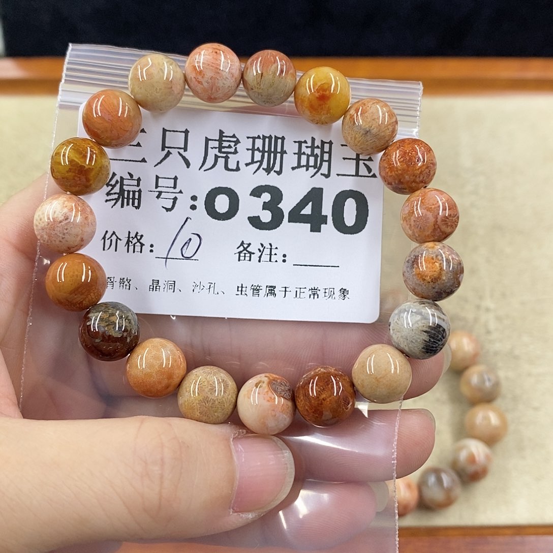 硅化珊瑚（珊瑚玉）1未镶嵌红***天