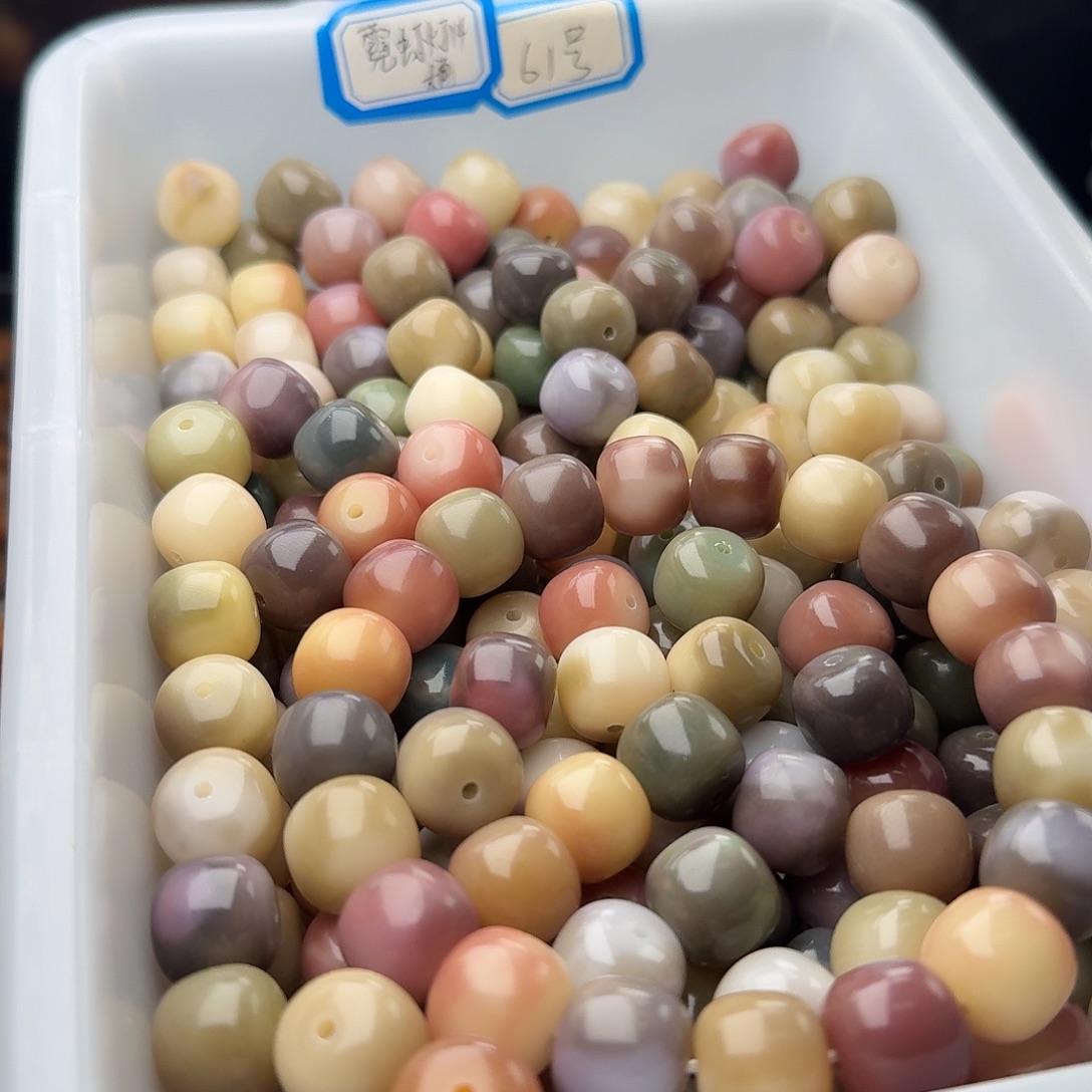 菩提根/象牙果吊坠50 颗霓虹灯 13.5 干磨桶