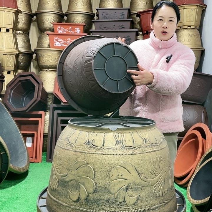 用***8圆盆紫砂五零十个