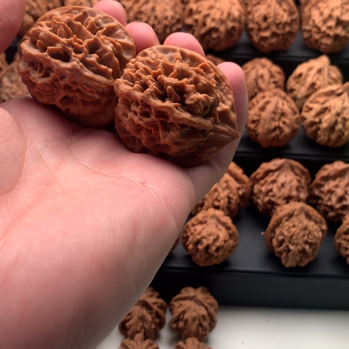 其他核桃麟*秦岭的一座山峰是