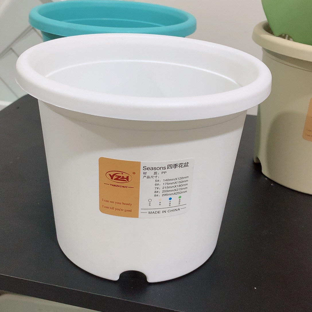 四季口17白10个无托