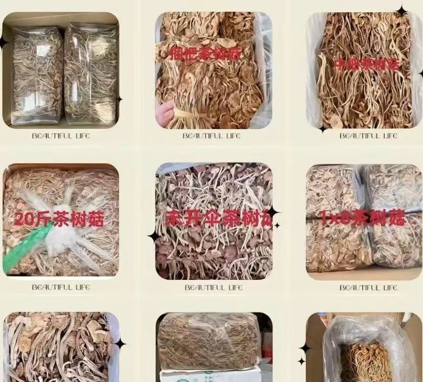 【滋补代替链接】枸杞