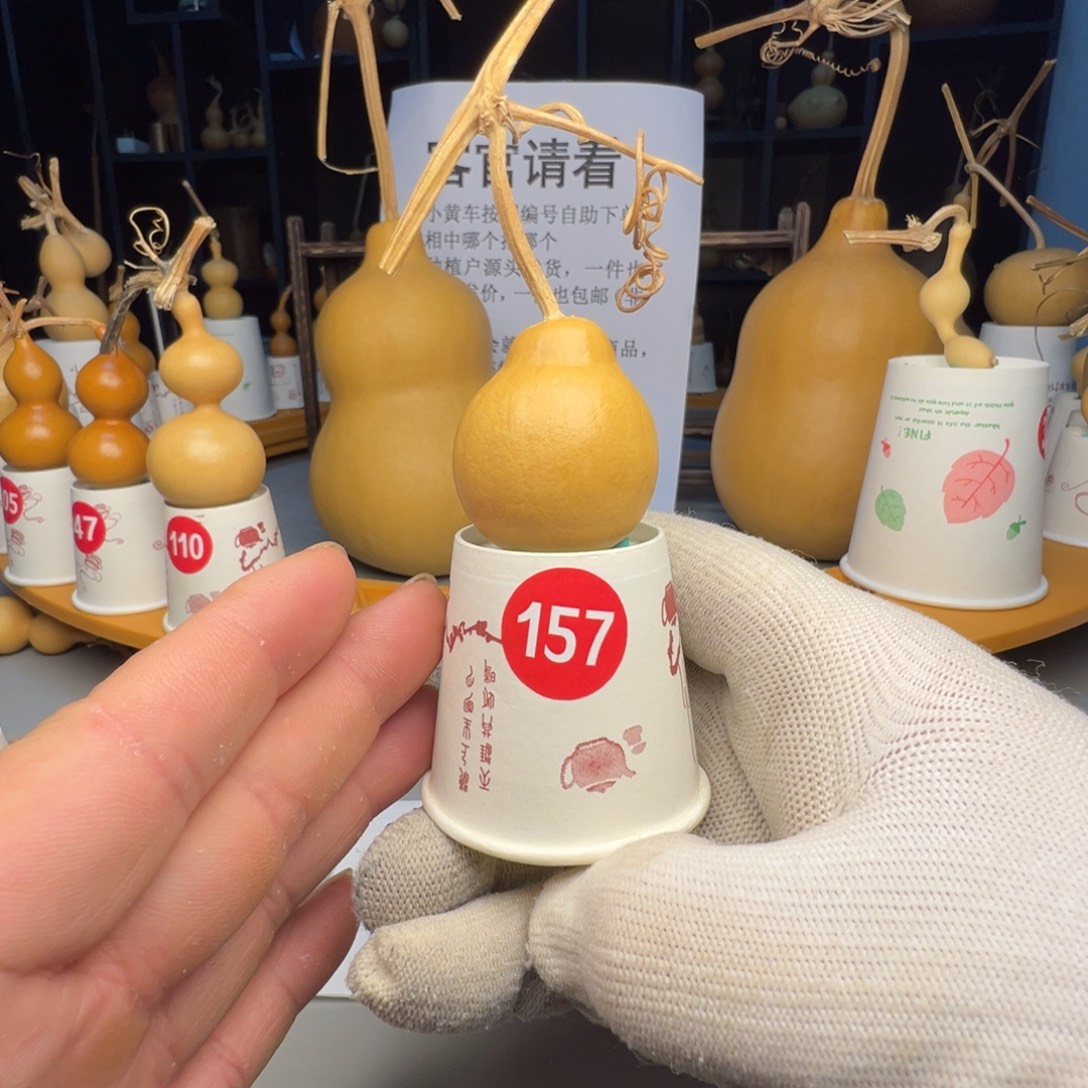 闪电购自助下单编号157