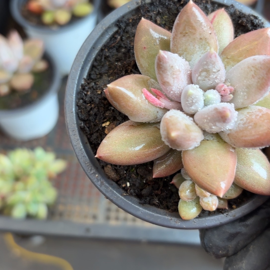 @*色肉肉肉肉肉肉肉肉肉