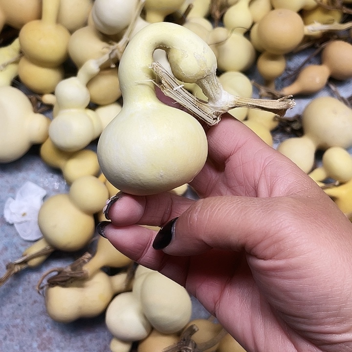 爱***惠大叶紫檀（黑酸枝木类）