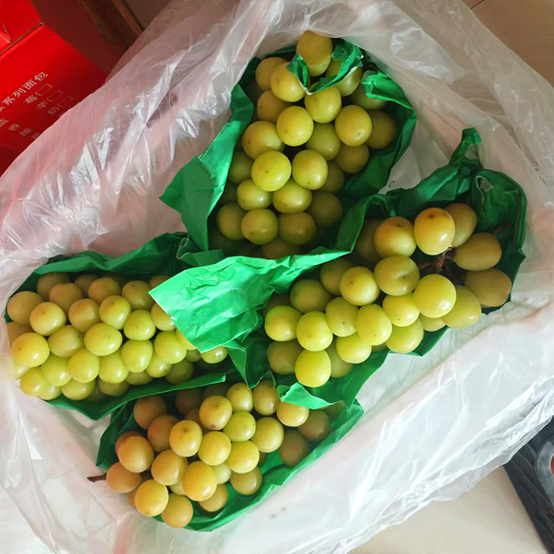 阳光玫瑰一筐8近左右