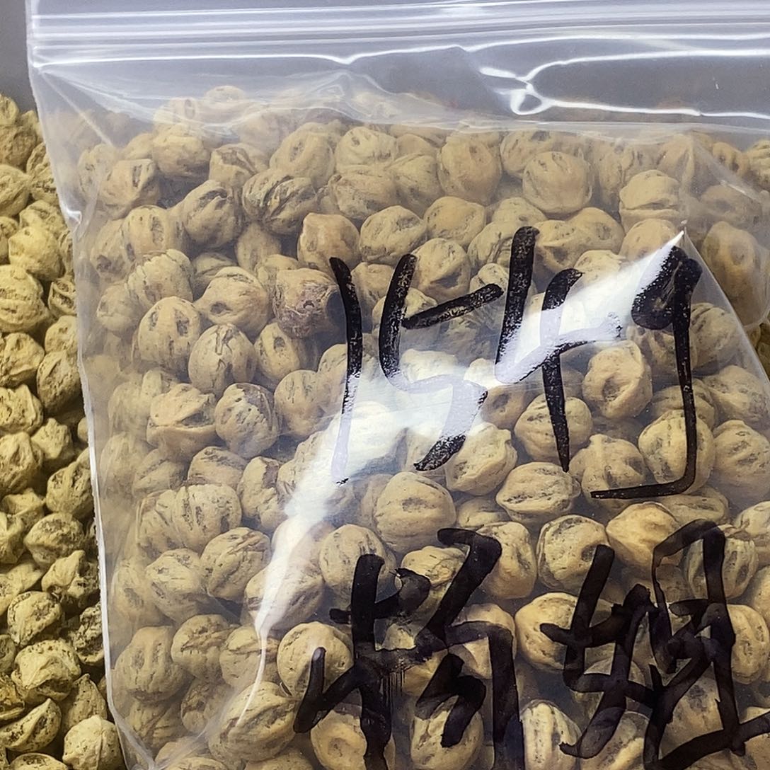 l***杨柏香籽/百香籽吊坠