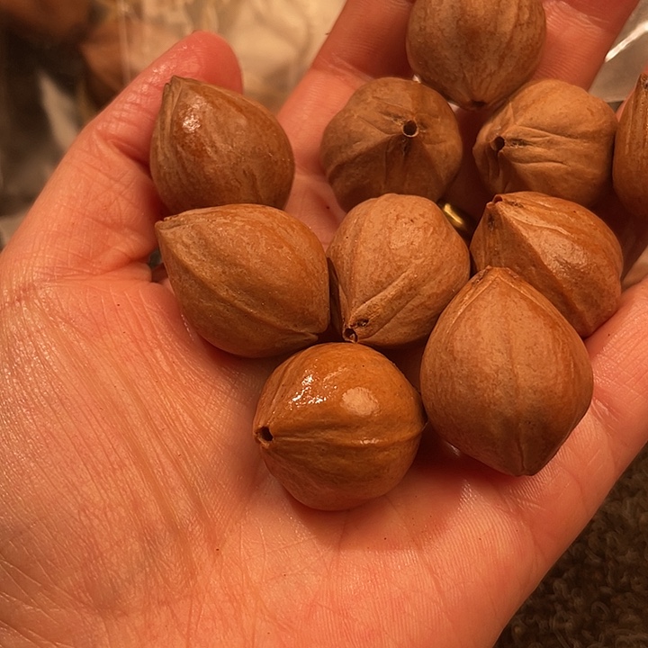 吊坠橄榄核2.1✖️2.7