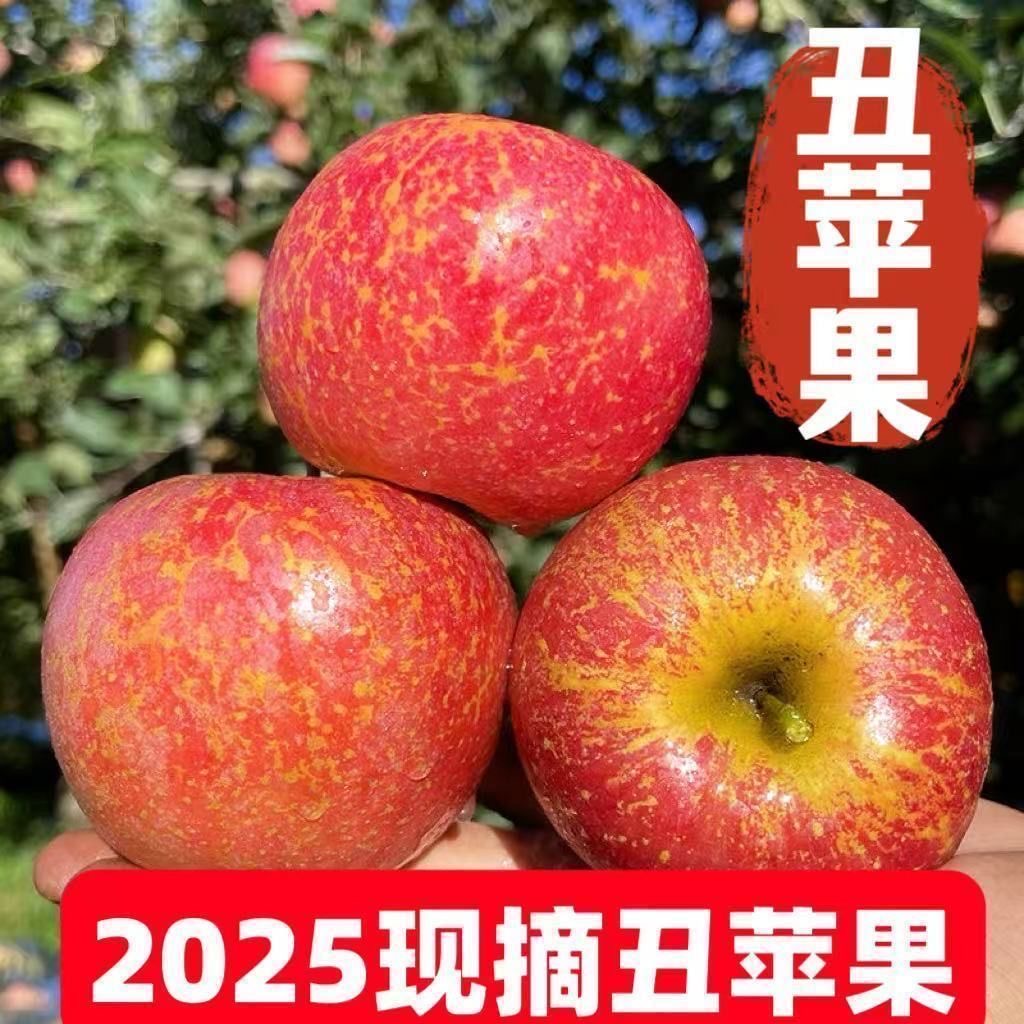 正宗脆甜丑苹果新鲜现摘应季多汁营养水果