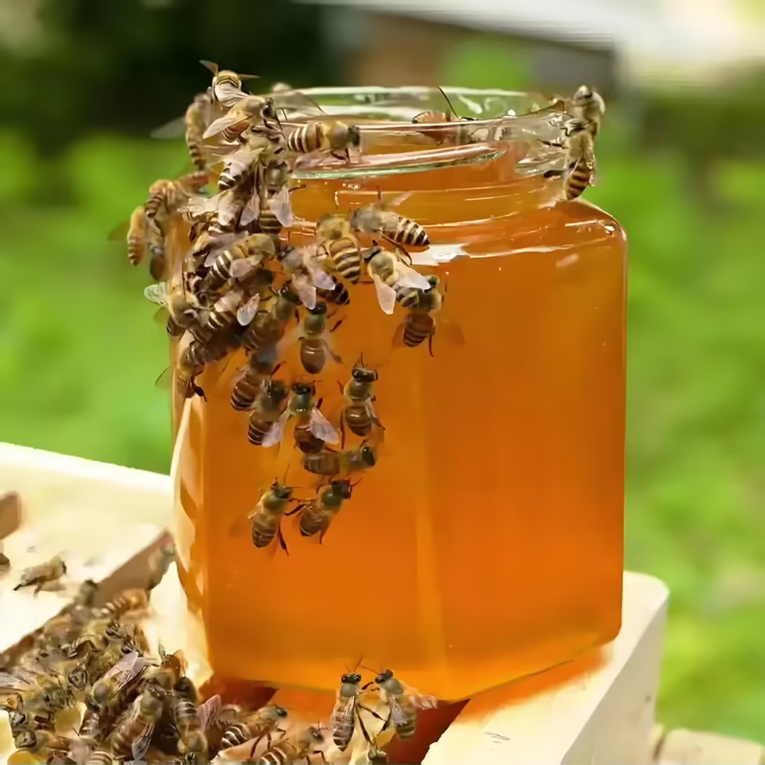  家用带盖土蜂蜜收纳罐储物罐包装储物神器透明密封