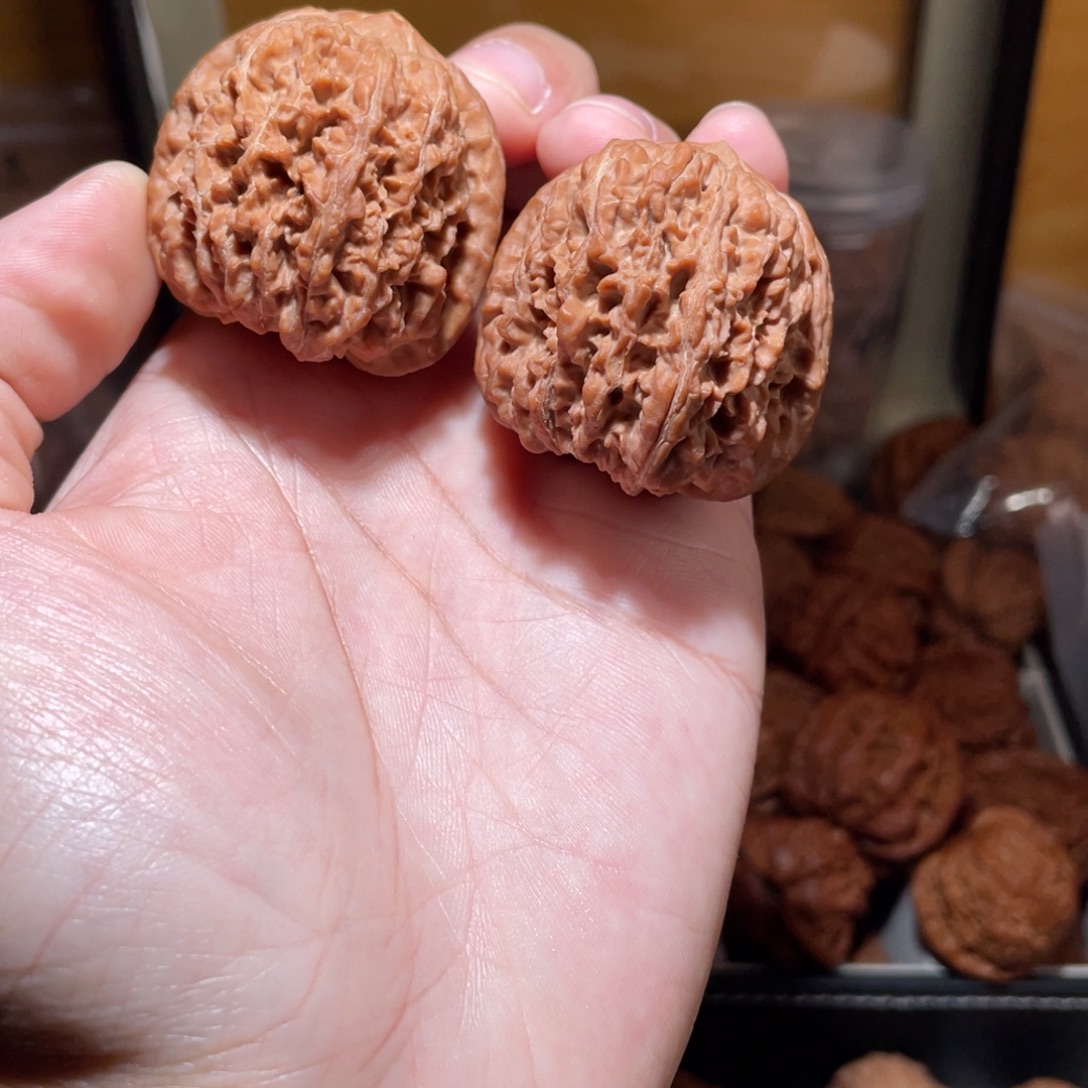 39尺寸137狮子头狮子头