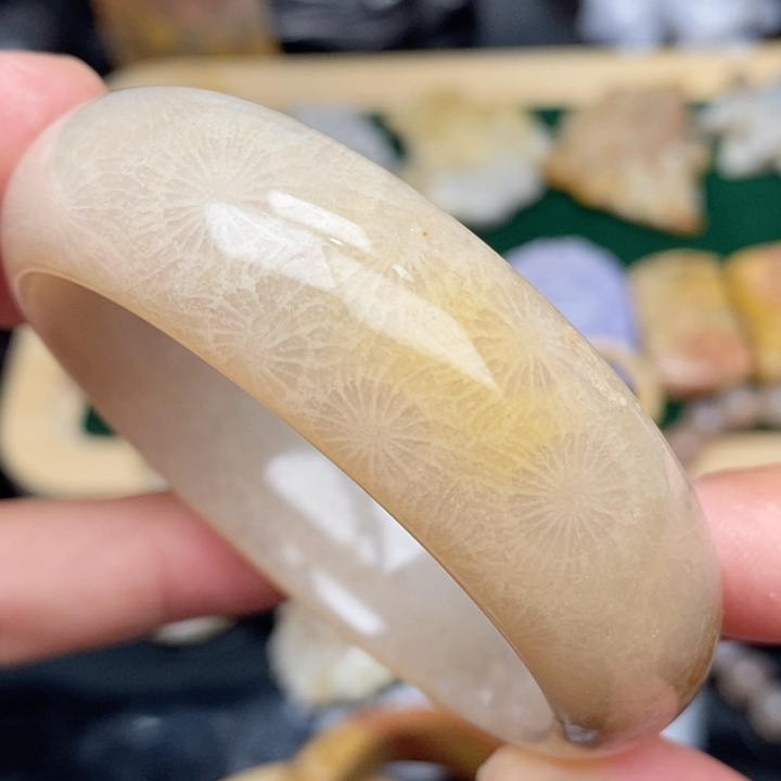 硅化珊瑚（珊瑚玉）手镯未镶嵌51