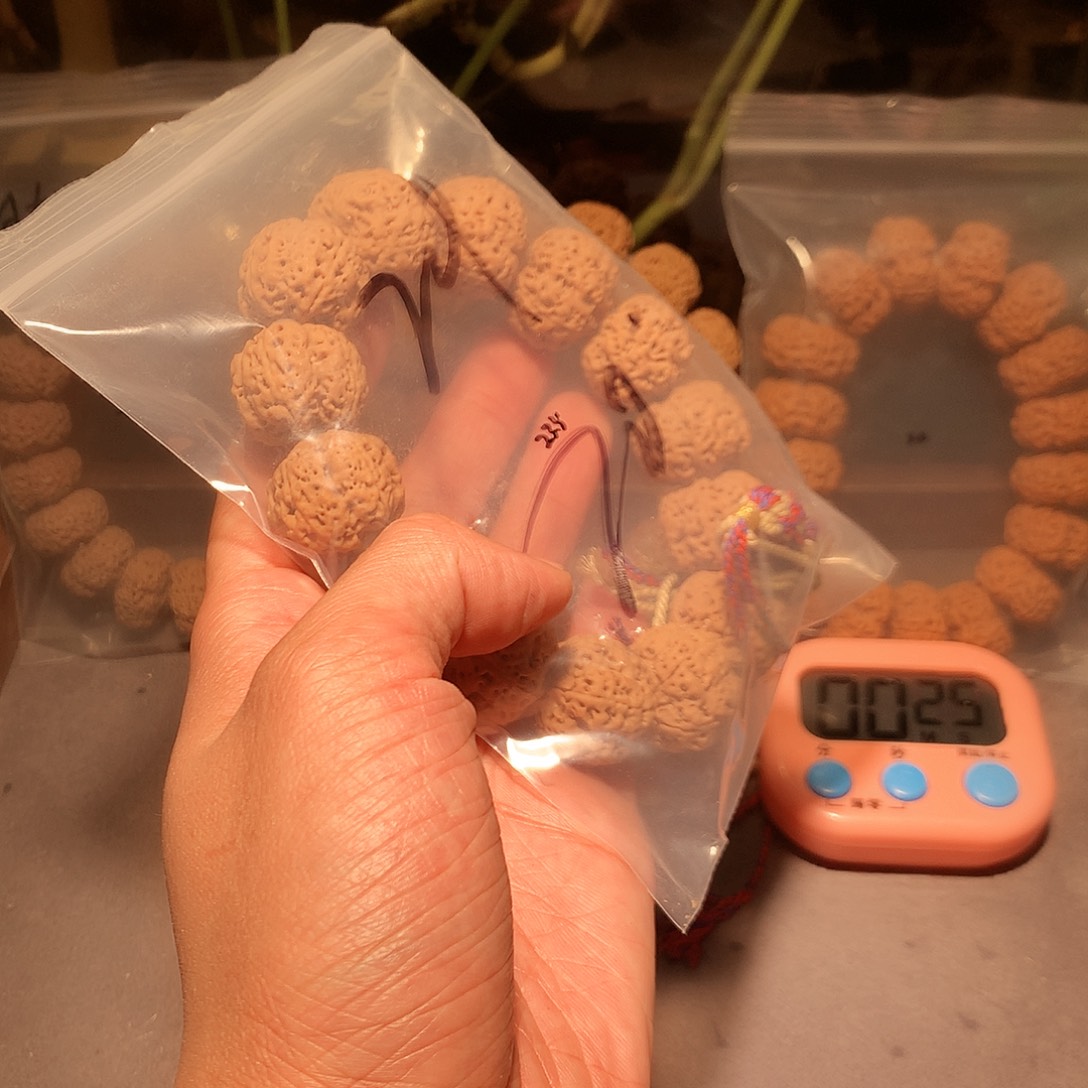 金刚菩提手串范*泛24。     