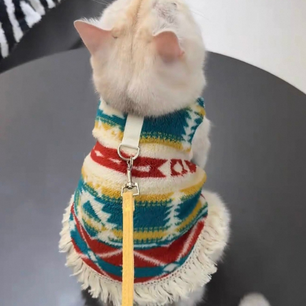 秋冬季新款宠物狗狗猫咪衣服泰迪比熊贵宾博美约克夏民族风可牵引