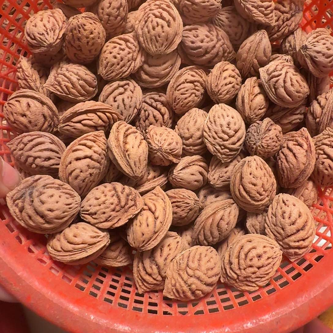 精品碧桃核110颗特价