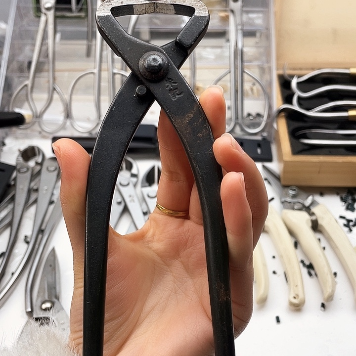 朱记中号破杆。 ，