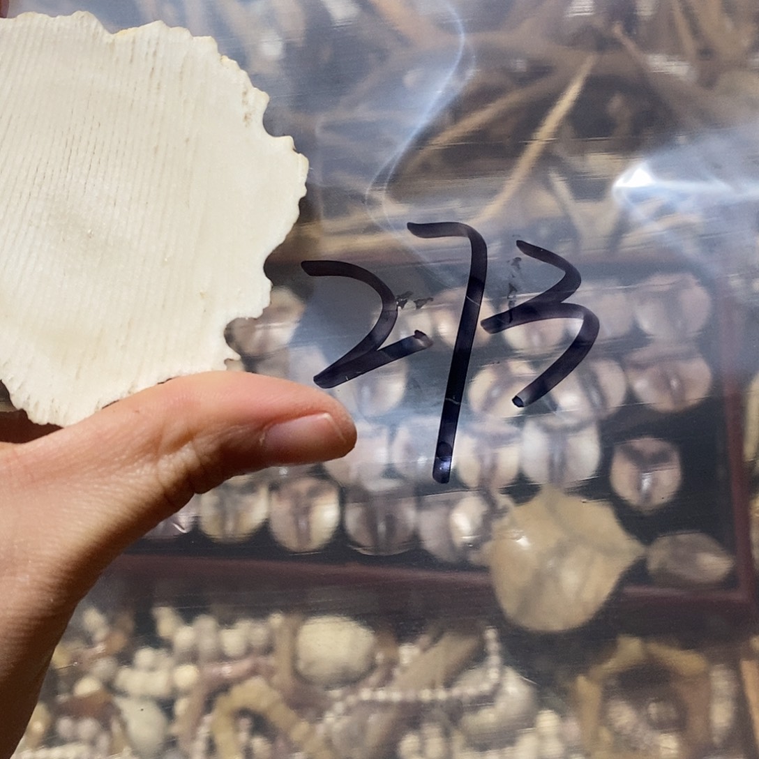 x***x非金属三界三界三界