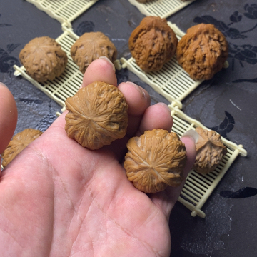 文玩核桃吊坠全品无修