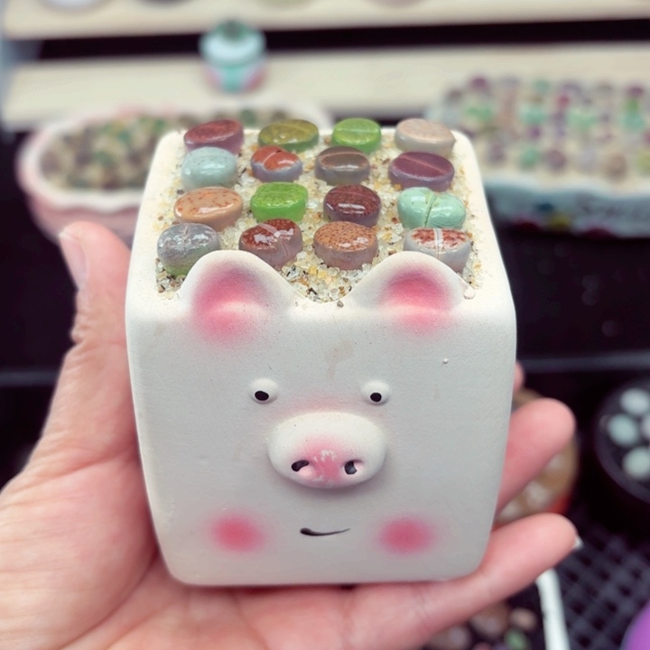604零下地区记得拍保温箱