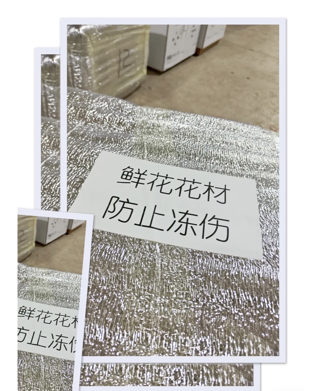 保温棉保护花花不受冻