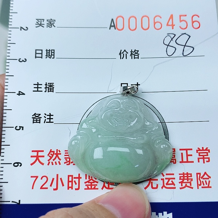 翡翠颈饰银S925镶嵌翡翠