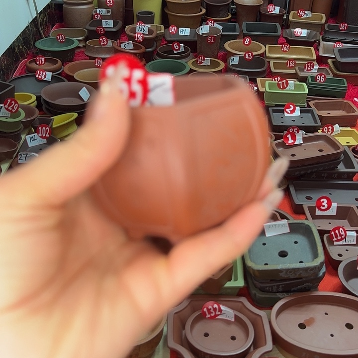 花盆紫砂小花盆好看的