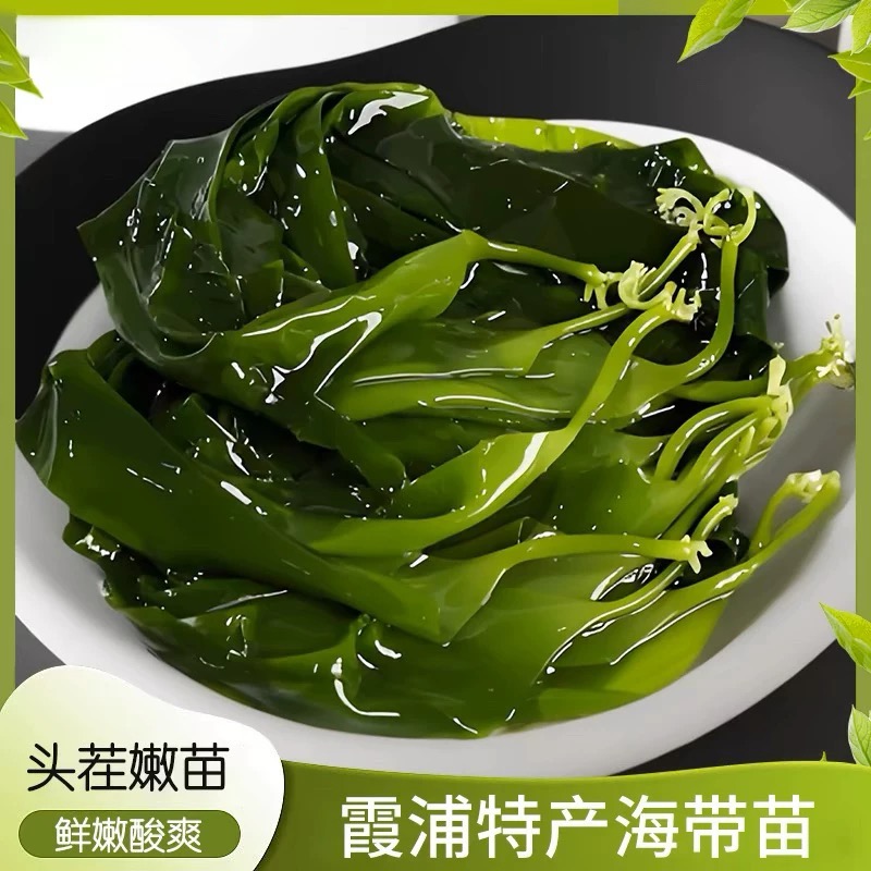 霞浦优质海带苗嫩苗盐渍新鲜小海带芽凉拌菜做汤烫火锅专用1斤装