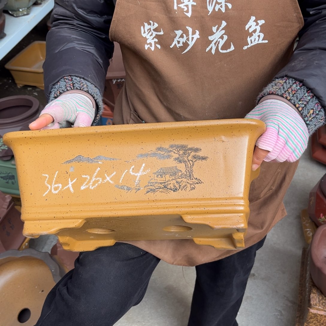 花盆紫砂盆景艺术