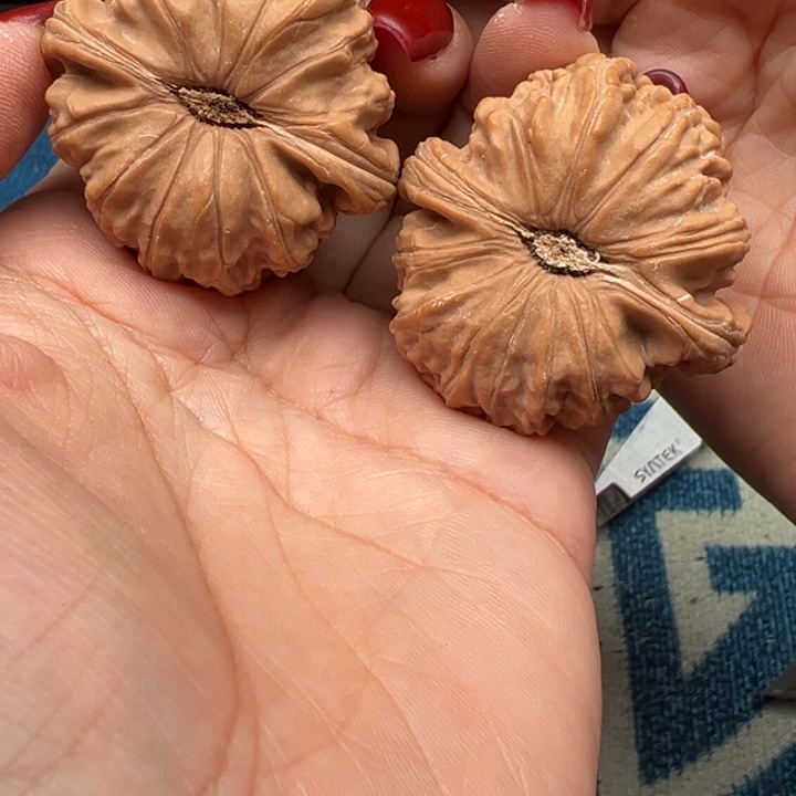 桃核吊坠文玩白狮子