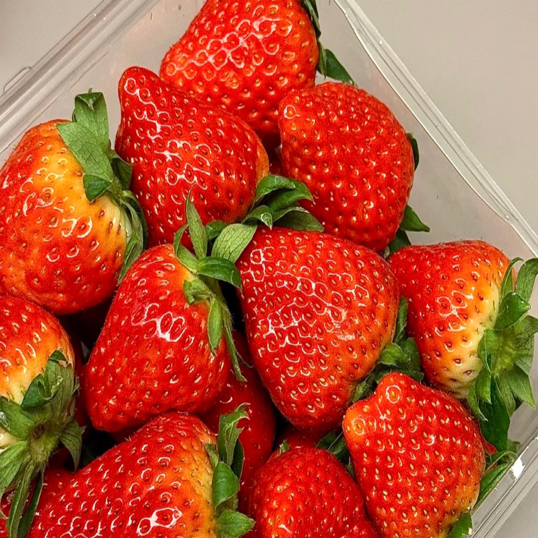 丹东久久草莓天窗辽宁省