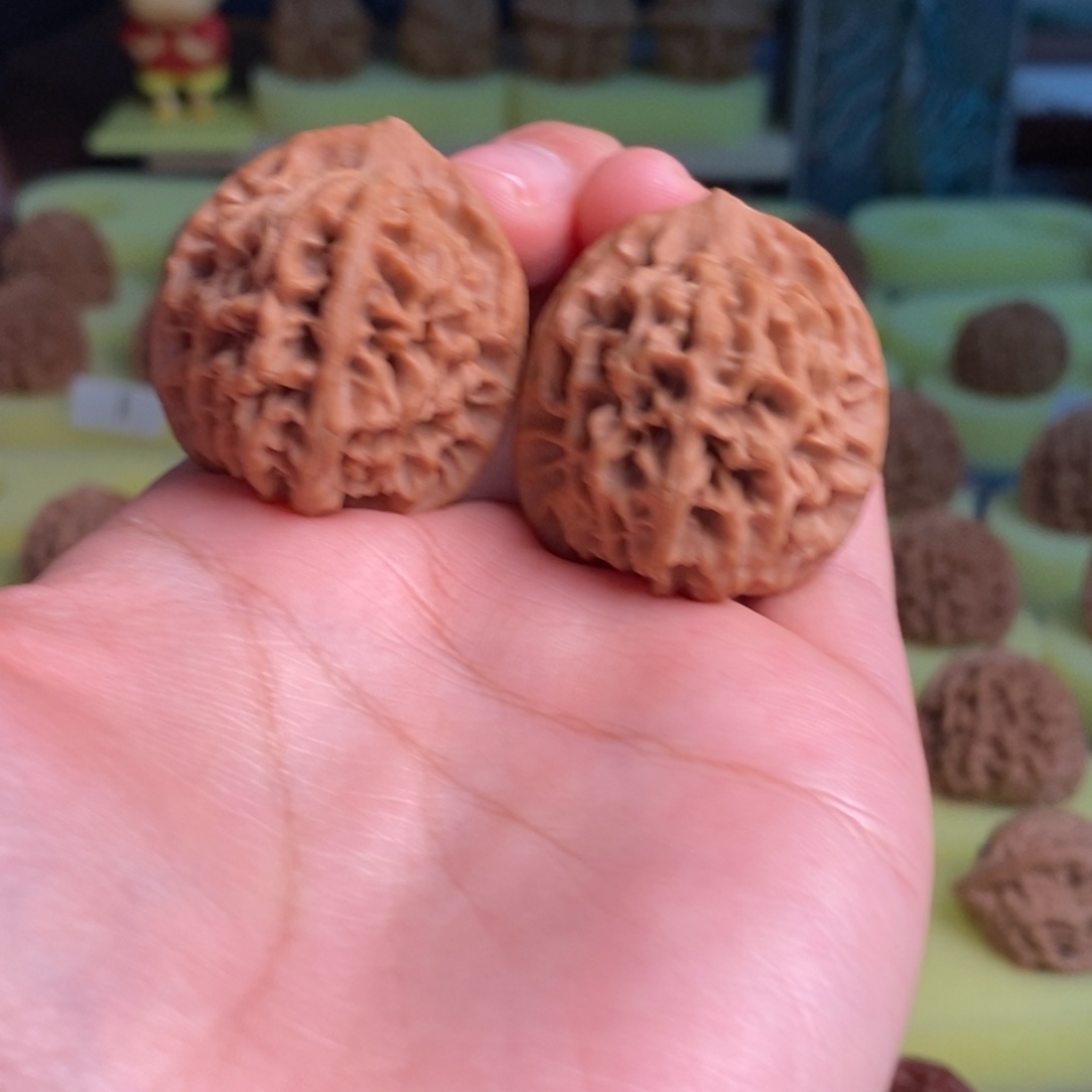 核桃秦岭闷尖狮子头31