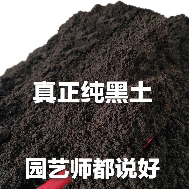 营养土养花腐叶土种菜土种花土山泥土花土通用土土泥土通用型