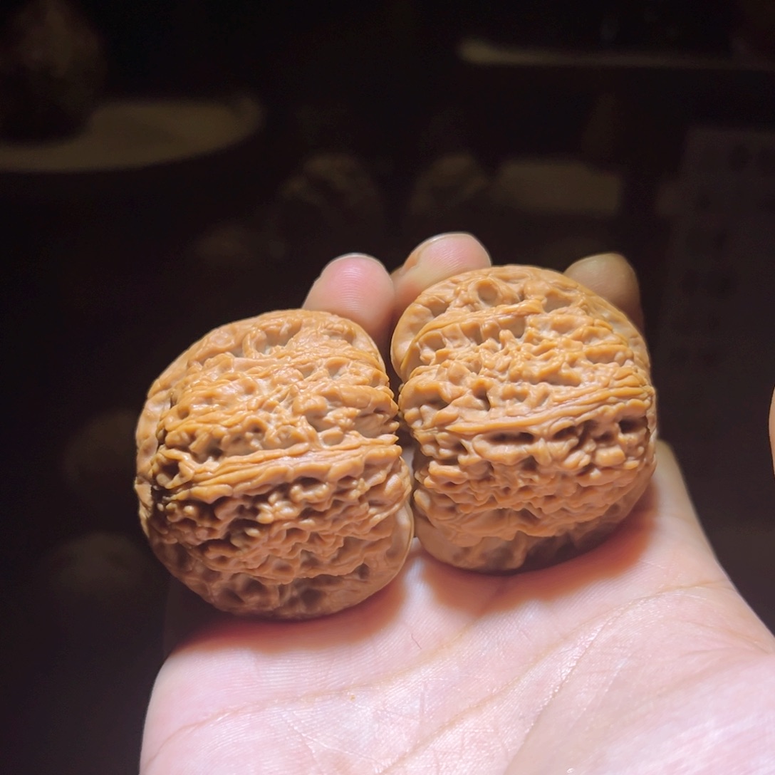 47全品南疆，毕业级