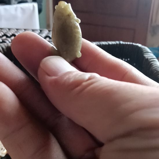 挂件年年有余，非常漂亮