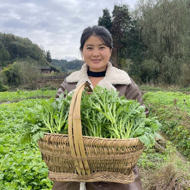 农家新鲜艾叶艾草嫩叶食用蔬菜青团糍粑火锅