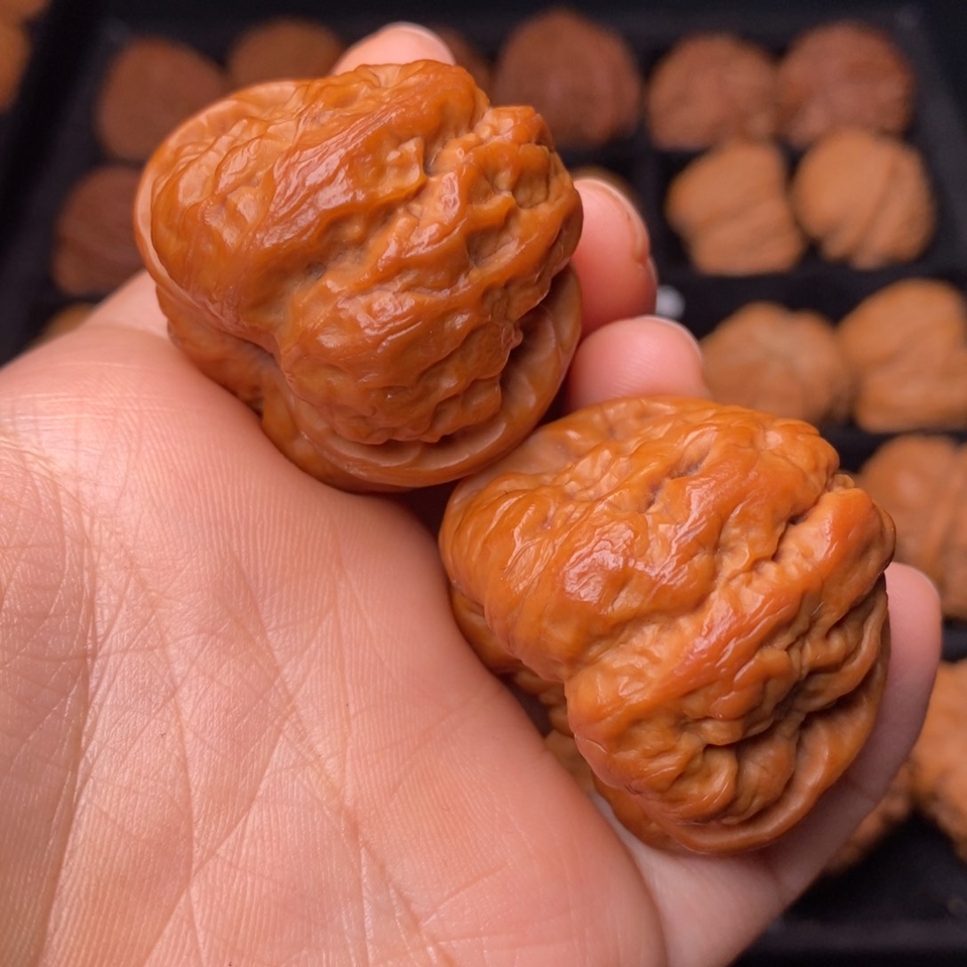 文玩核桃把件秦岭野生核桃