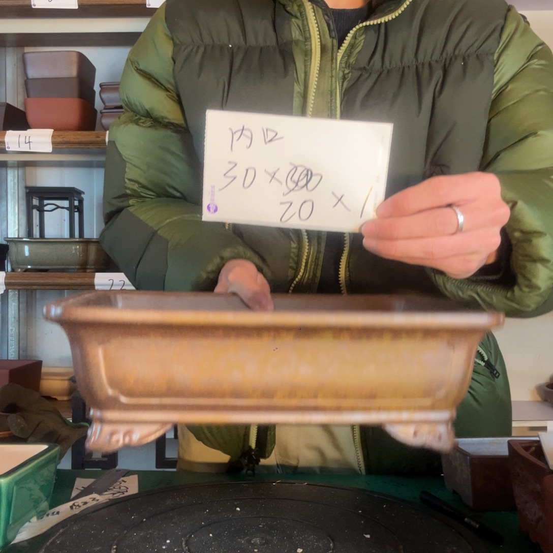 用***3后果非常v谷聚餐通过