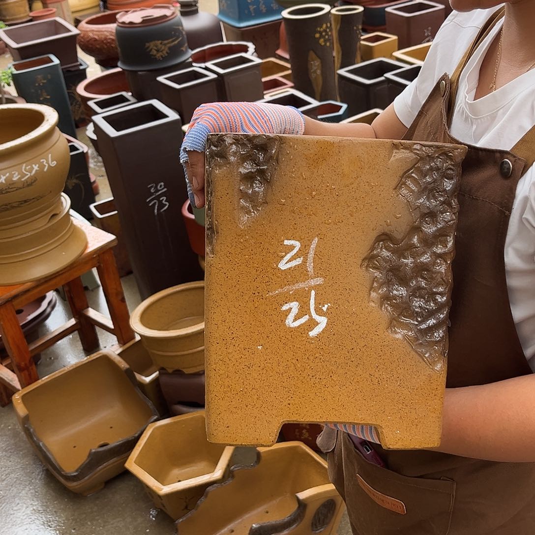 紫砂花盆盆景艺术