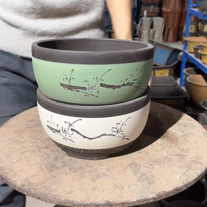 白绿。绿萝小一对