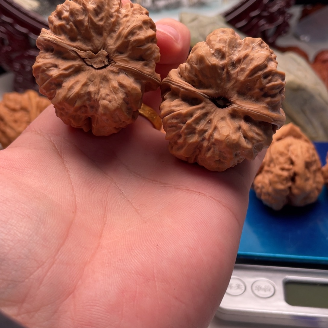 竸***然核桃蛤蟆头文玩C32