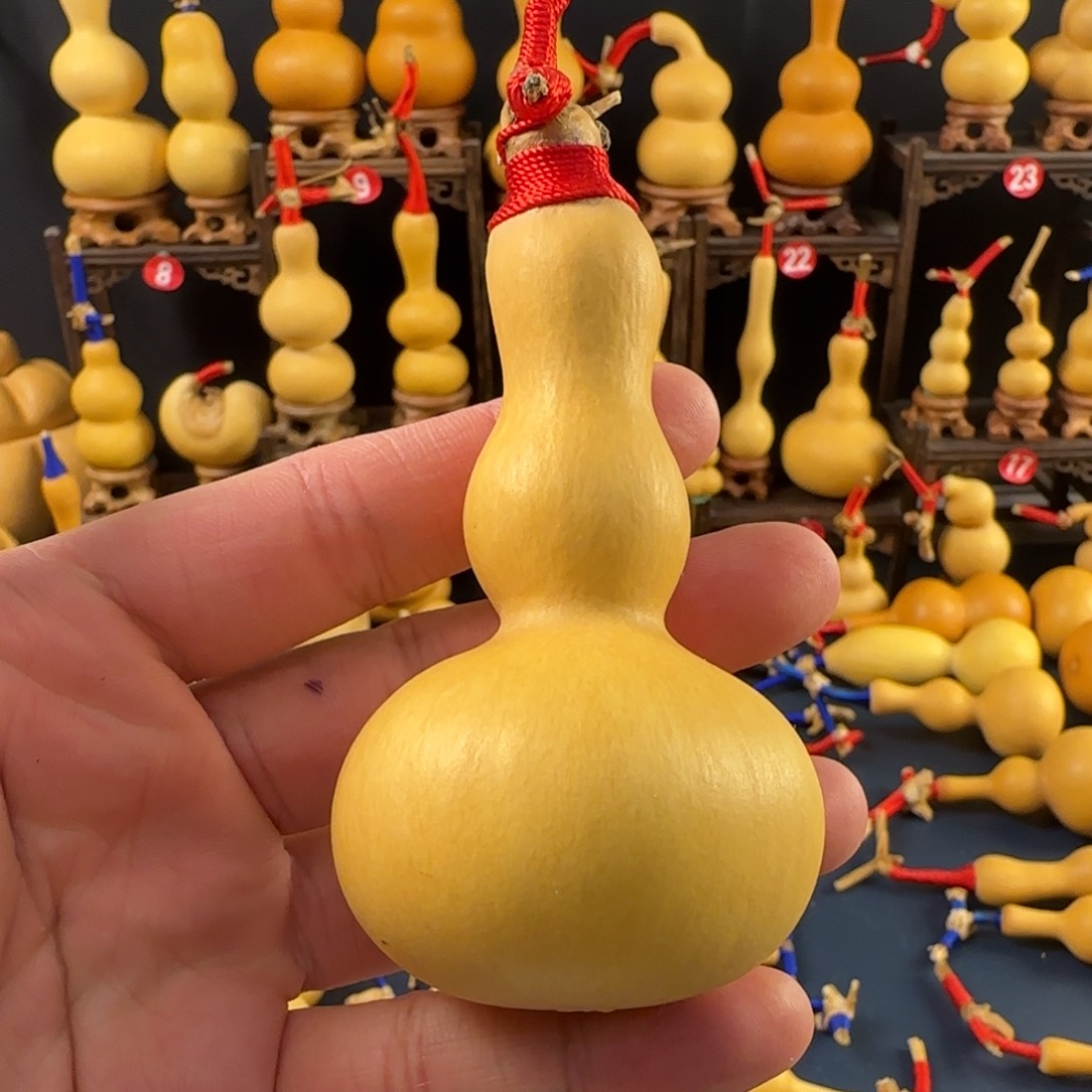 三七肚大粗嘴爆头