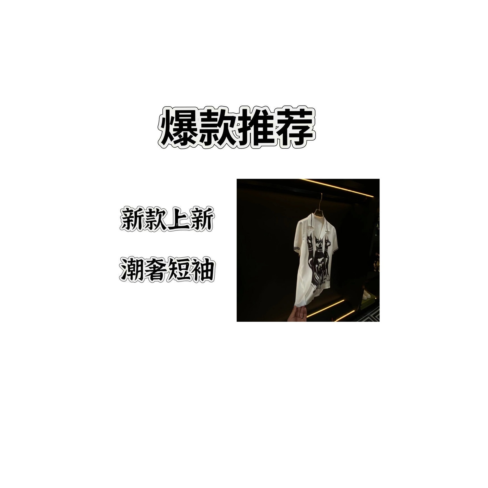 【DJ】杜宾犬2025夏季新款轻奢风格时尚短裤短袖两件套18805
