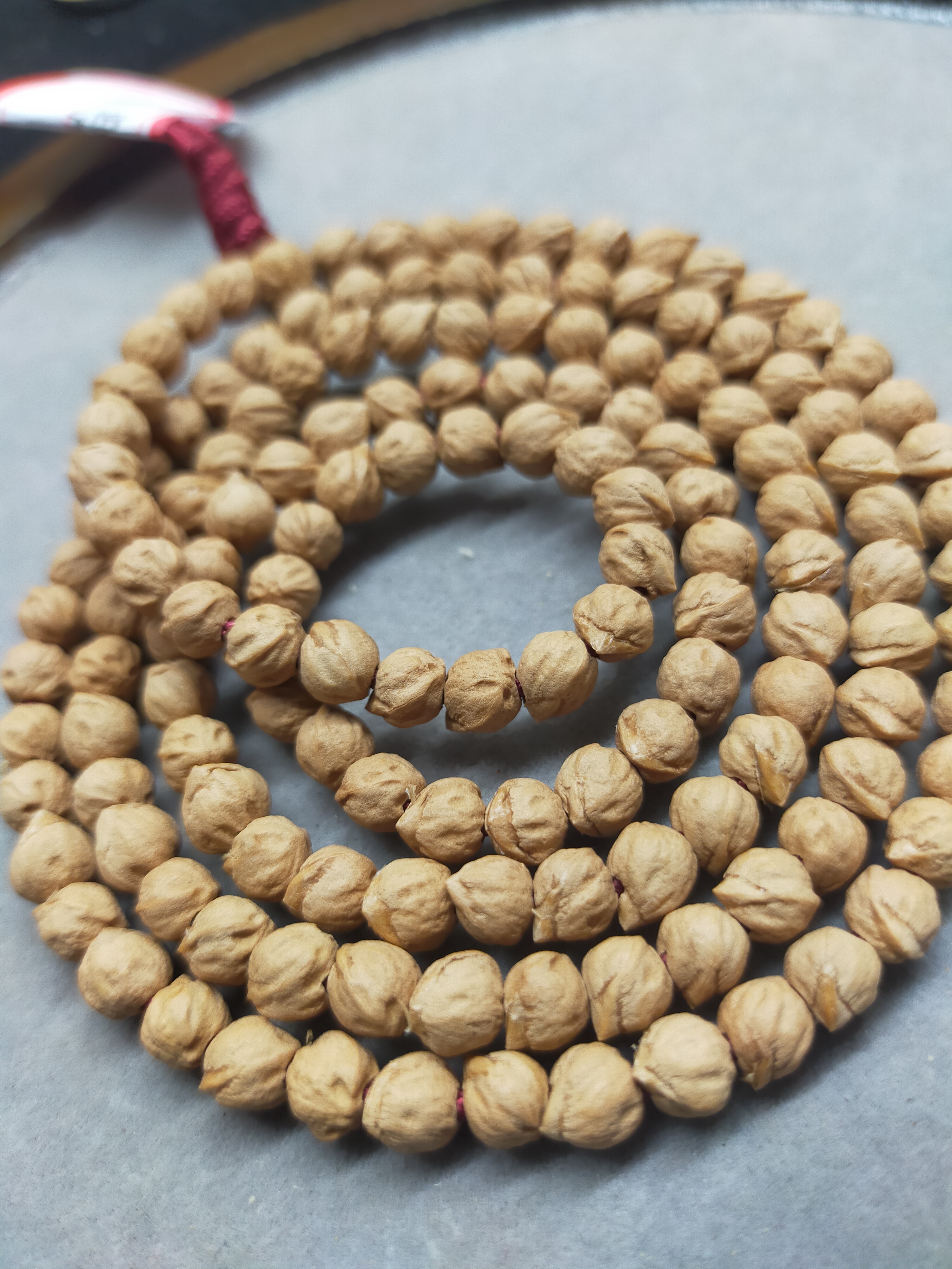 【富贵鸟】原桩百香籽斜打 小鸟依人