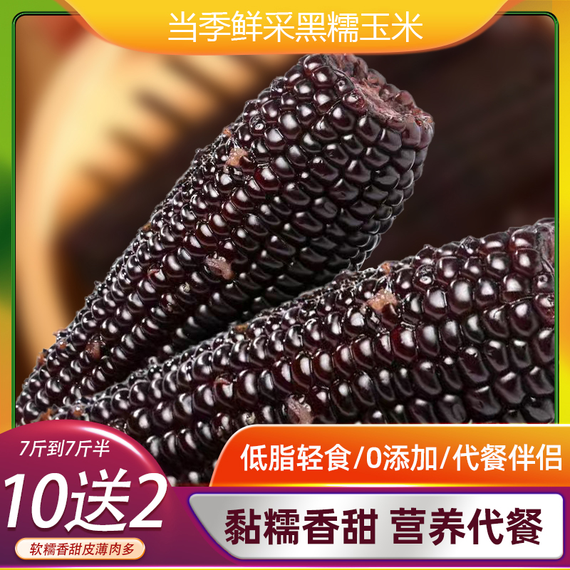 （试吃两根）东北鲜采粘糯黑糯玉米12支单只280-350g（整箱7-7.5斤）
