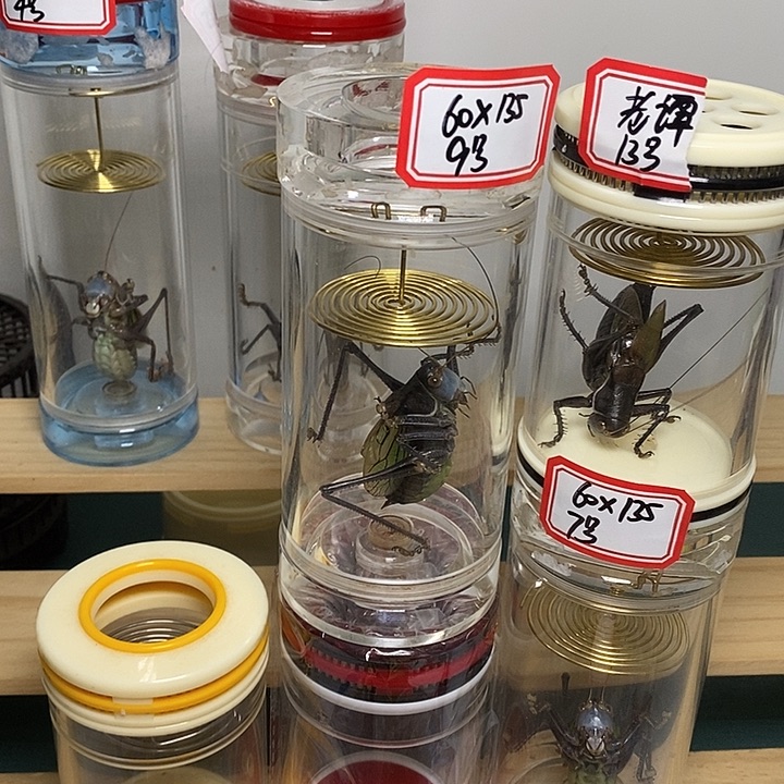 蝈蝈60-110单60-90单