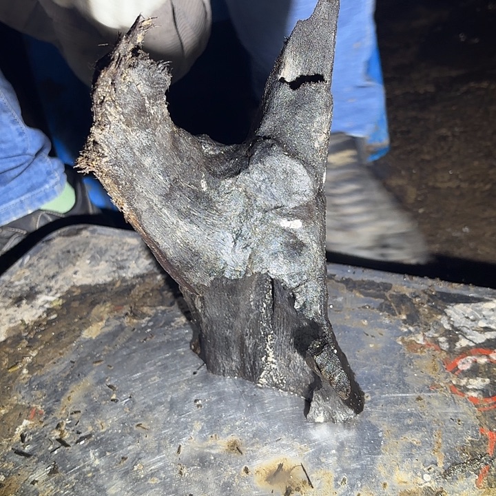 见***候金丝楠啊啊啊啊啊啊