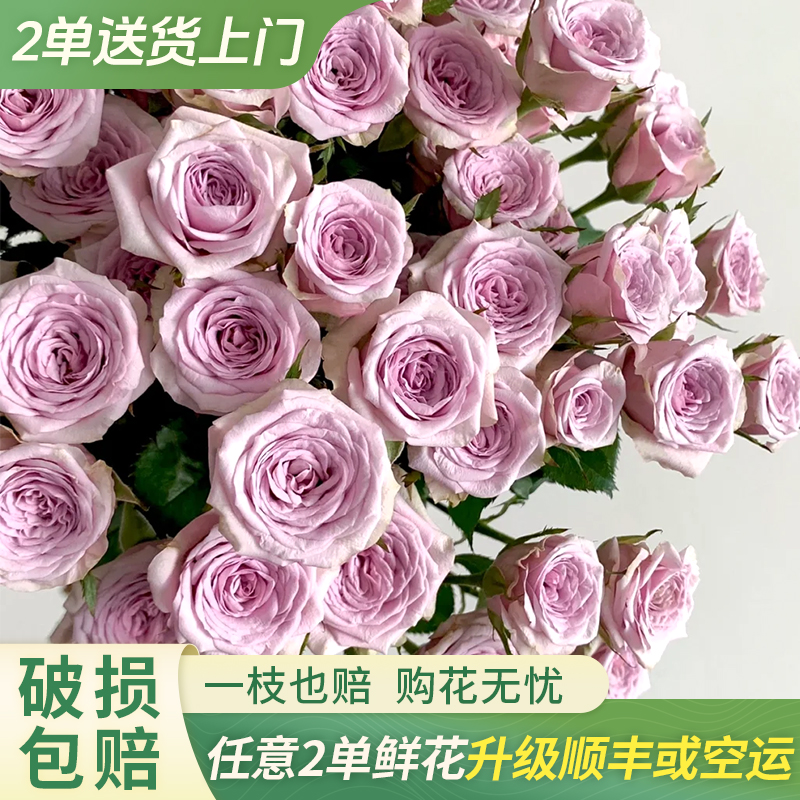 【大聪明卖花】莱拉多头玫瑰-任意2单鲜花包邮发货后不支持退款